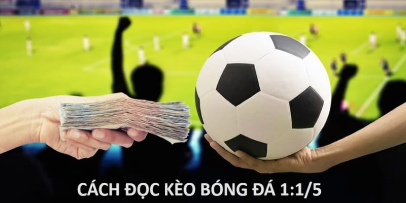 Đọc kèo bóng đá 1:1/5 chi tiết